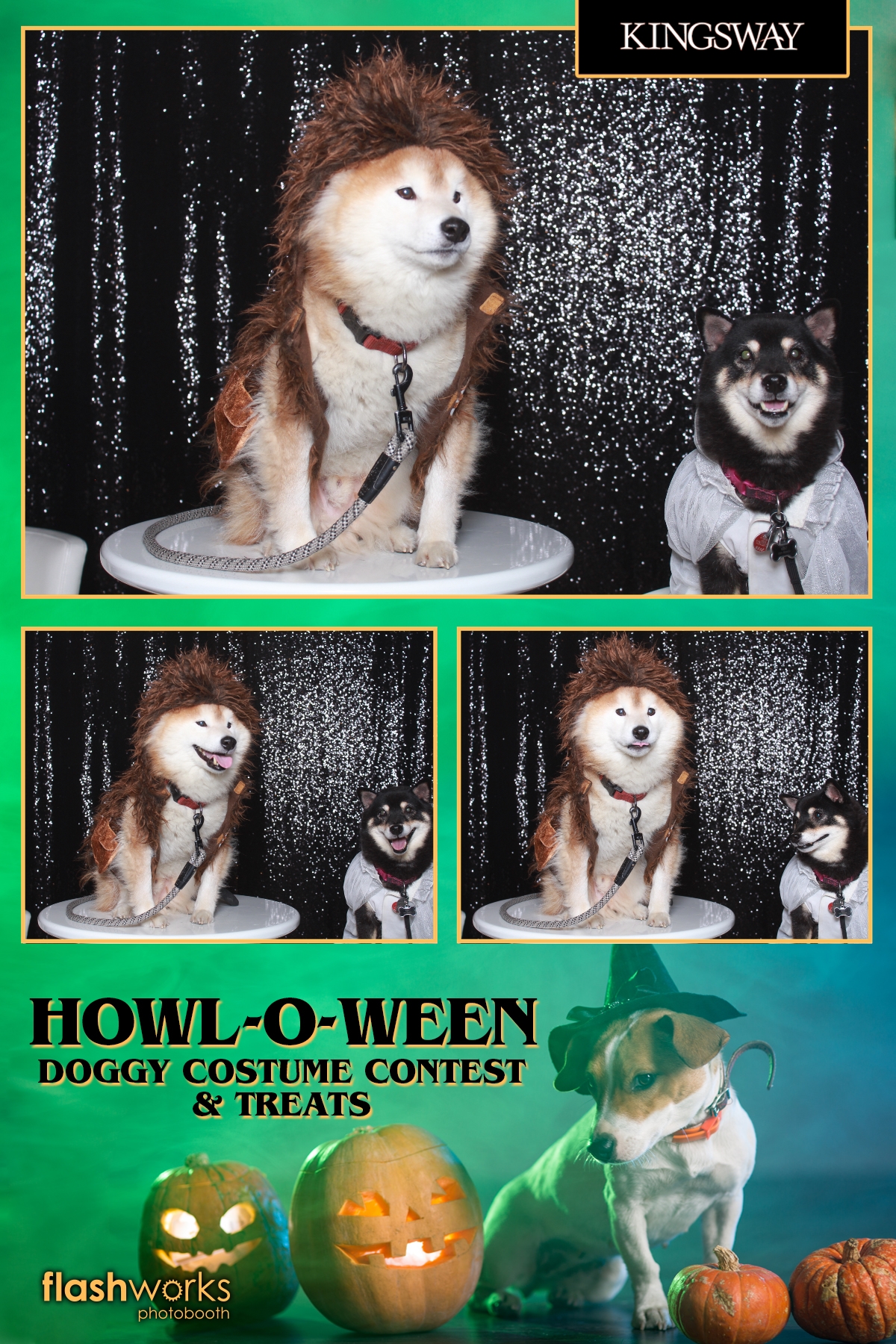 Kingsway Howl-O-Ween Doggy Costume Contest | View more photos from the event at gallery.flashworksphotobooth.com/u/FlashworksPhotoboothInc/Kingsway-Howl-O-Ween-Doggy-Costume-Contest